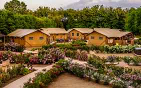 Das Glamping-Areal: Die Glamping-Zelte - Foto: Bethel Fath